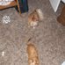 Sue Daniels - Facebook