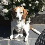 Daniel Sugden - @sugdendaniel - Instagram