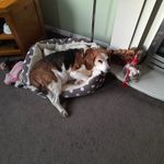 Daniel Sugden - @12e272 - Instagram