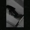 Daniela Sukara - @danielasukara3 - TikTok