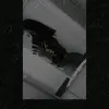 danielasukara6 - @danielasukara6 - TikTok