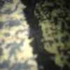 Daniel Suleymanov - @danielsuleymanov1 - TikTok