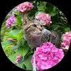 D - @danielsullivan492 - TikTok