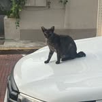Daniel Suman - @danielosuman - Instagram