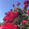 Danielsun - @danielsun7110 - TikTok