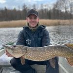 Daniel Sundberg - @danielsundberg - Instagram