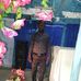 Daniel Saintmarc - Facebook