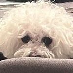 Daniel Sunshine - @vanilla766hi - Instagram