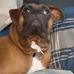 Daniel Surette - Facebook