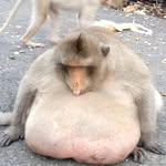 daniel surette - @s.urette897 - Instagram