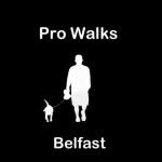 Daniel Surgenor - @prowalksbelfast - Instagram