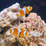 Daniel Sutton - @daniel.sutton.583 - Instagram
