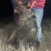Daniel Sutton - @daniel.sutton24 - TikTok