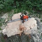 Daniel Swartzentruber - @danielswartzentruber - Instagram