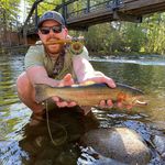 Daniel Sweeney - @danielpsweeney - Instagram