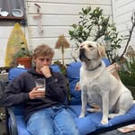 Daniel Sweeney - @d_sweeney9 - Instagram
