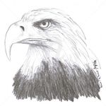 Daniel Szuster - @danielszuster1983 - Instagram