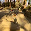 Daniel Taylor - @danieltaylor.61 - TikTok