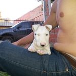 Daniel Tabarez - @tabarezdaniel - Instagram