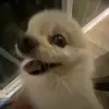 danielbellionn - @danielbellionn - TikTok