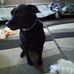 Daniel Taber - Facebook