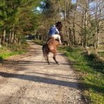 Daniel Taboada Fuentes - @danieltaboadafuentes - Instagram