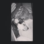 Daniel Tabory Pino - @danieltabory.24 - Instagram