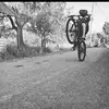Daniel Tache - @danibiker1 - TikTok