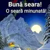 daniel tache - @florica.nita0 - TikTok