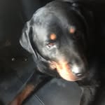 Daniel Tackett - @dd250875 - Instagram