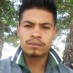 Daniel Tafolla - @daniel.tafolla.965 - Instagram