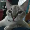 Dany_Tagle - @danieltagle_ - TikTok