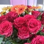 daniel letailleur - @danielletailleur - Instagram