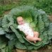 Totz Daniel - Facebook