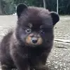danieltakagideaqu - @danieltakagideaqu - TikTok