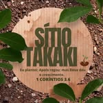 Daniel Takaki | Sítio Takaki - @sitiotakaki - Instagram