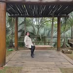 Daniela M. Takaki - @danielamtakaki - Instagram
