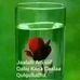 Daniel Takala - Facebook