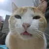 Daniel Takata Trevisan - @danieltakata28 - TikTok