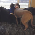 Daniel Talbert - @dantalbert_ - Instagram