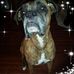 Daniel Talbot - Facebook