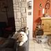 Daniel Talbot - Facebook