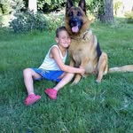 Daniel Taliani - @danieltaliani2002 - Instagram