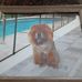 Daniel Talmadge - Facebook