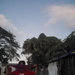 Daniel Pamintuan - @danieltalosig489 - Instagram