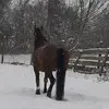Talpa Daniel - @talpadaniel - TikTok
