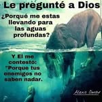 daniel tamara - @jairoantoniotamara - Instagram