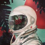 Dániel Tamás - @danieltamas.art - Instagram