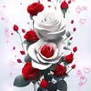 Christian - @danieltamene50 - TikTok