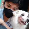 Daniel - @danieltana1 - TikTok